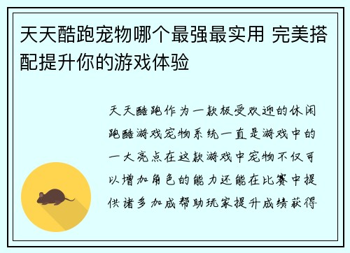 天天酷跑宠物哪个最强最实用 完美搭配提升你的游戏体验